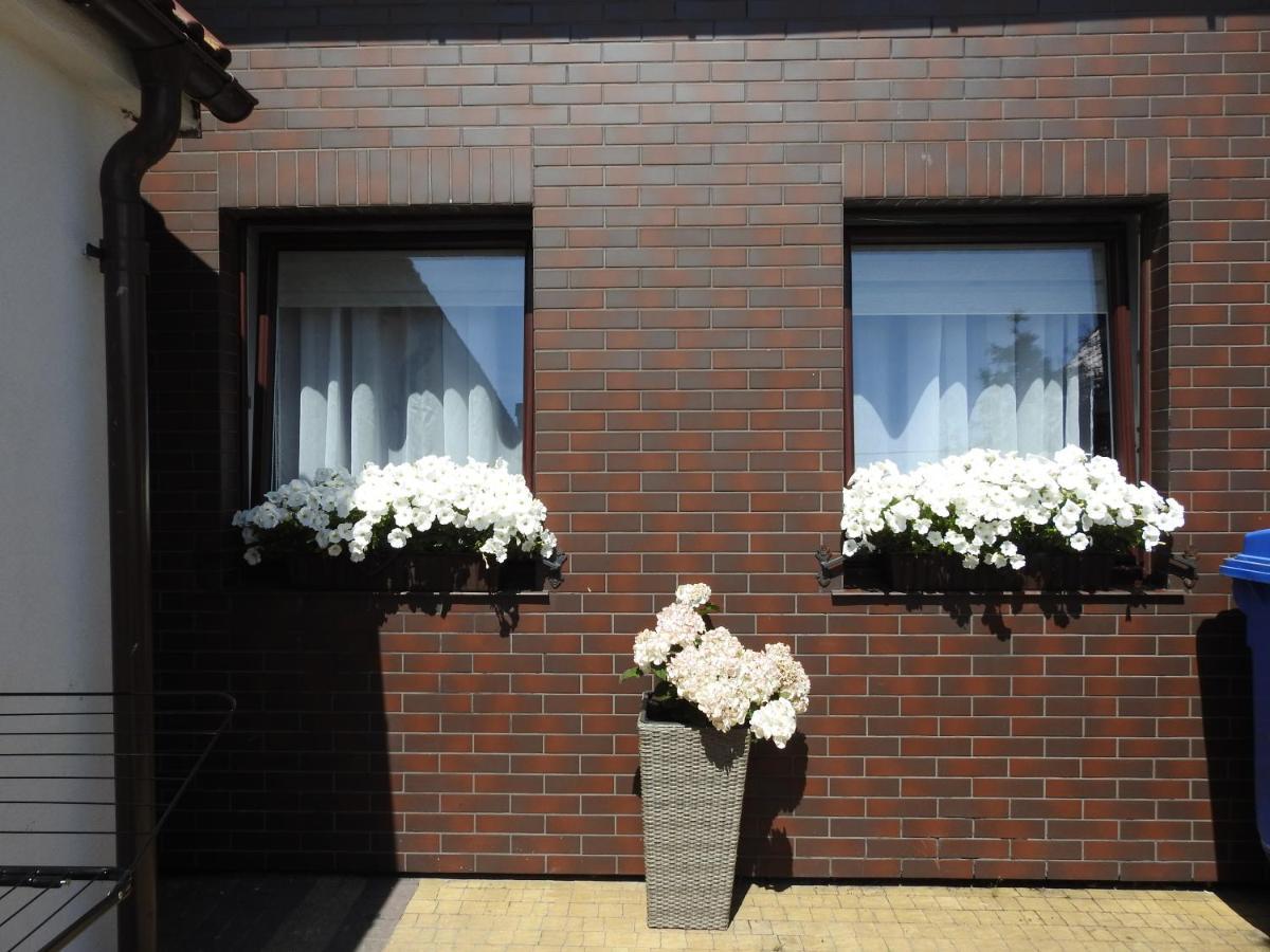 Domki U Skrzata Łeba Exterior foto